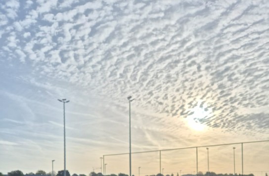  (vergroot foto)