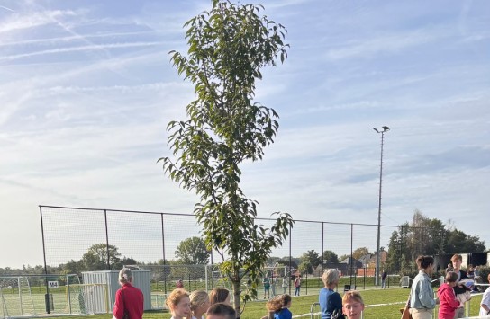  (vergroot foto)