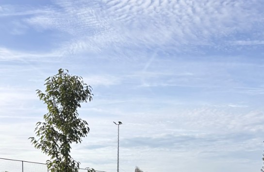  (vergroot foto)