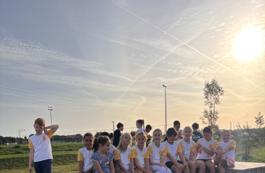  (vergroot foto)