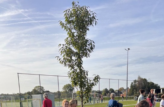  (vergroot foto)